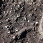 Radio Kielce na Fali w Krzyżanowicach Krzyżanowicach, gdzie odkryto pochówek tak zwanej kultury mierzanowickiej sprzed ponad dwóch tysięcy lat przed naszą erą / Radio Kielce