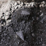 Radio Kielce na Fali w Krzyżanowicach Krzyżanowicach, gdzie odkryto pochówek tak zwanej kultury mierzanowickiej sprzed ponad dwóch tysięcy lat przed naszą erą / Radio Kielce