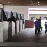 Świętokrzyskie na Fali - Przybij Piątkę z Radiem Kielce - Stadnina Koni w Michałowie. / Grzegorz Jamka / Radio Kielce