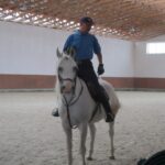 Świętokrzyskie na Fali - Przybij Piątkę z Radiem Kielce - Stadnina Koni w Michałowie. Nauka jazdy konnej. / Grzegorz Jamka / Radio Kielce