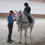 Świętokrzyskie na Fali - Przybij Piątkę z Radiem Kielce - Stadnina Koni w Michałowie. Nauka jazdy konnej. / Grzegorz Jamka / Radio Kielce