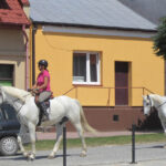 Świętokrzyskie na Fali z Radiem Kielce w Szydłowie. / Konrad Łużniak / Radio Kielce