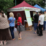 Targi Pracy organizowane przez Miejski Urząd Pracy w Kielcach / Wojciech Habdas / Radio Kielce