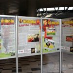 Wystawa "40 lat minęło - zawsze razem", przygotowana z okazji 40-lecia klubu piłkarskiego Korona Kielce / Wojciech Habdas / Radio Kielce