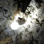 Radiowa akcja "Świętokrzyskie na fali" zawitała dziś do jednej z najpiękniejszych jaskiń Polski - "Jaskini Raj". / Robert Felczak / Radio Kielce