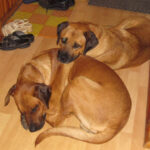 zdjęcie wykonane 17.07.2013 r. / Władysława / arch. prywatne