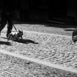 Nie moja wina, że nie ma innej toalety / Barbara / Radio Kielce