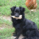 Moja przekąska / Katarzyna Mazur / arch. własne