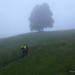 Wysoka - Pieniny / Radio Kielce