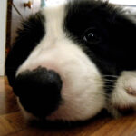 "trochę wody dla ochłody" / Ewa / arch. prywatne