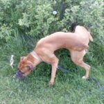 ,,Najukochańsza mordeczka"