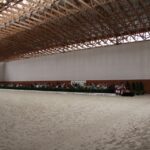 Pokaz koni w Michałowie / Piotr Michalski / Radio Kielce