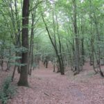 Świętokrzyskie na Fali. Przybij Piątkę z Radiem Kielce w Tokarni. / Konrad Łużniak / Radio Kielce