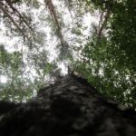 Świętokrzyskie na Fali. Przybij Piątkę z Radiem Kielce w Tokarni. / Konrad Łużniak / Radio Kielce