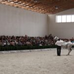 Pokaz koni w Michałowie / Piotr Michalski / Radio Kielce