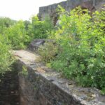 Świętokrzyskie na Fali. Przybij piątkę z Radiem Kielce w Nietulisku Dużym. / Konrad Łużniak / Radio Kielce