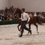 Pokaz koni w Michałowie / Piotr Michalski / Radio Kielce