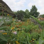 Świętokrzyskie na Fali. Przybij Piątkę z Radiem Kielce w Tokarni. / Konrad Łużniak / Radio Kielce