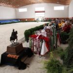 Pokaz koni w Michałowie / Piotr Michalski / Radio Kielce