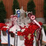 Pokaz koni w Michałowie / Piotr Michalski / Radio Kielce