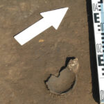 Pozostałości osady wczesno neolitycznej sprzed 6 tysięcy lat odkryto podczas wykopalisk w Złotej w gminie Samborzec. Czarka kultury malickiej w trakcie odsłaniania / Radio Kielce