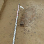 Pozostałości osady wczesno neolitycznej sprzed 6 tysięcy lat odkryto podczas wykopalisk w Złotej w gminie Samborzec. Palenisko  kultury mierzanowickiej / Radio Kielce