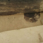 Pozostałości osady wczesno neolitycznej sprzed 6 tysięcy lat odkryto podczas wykopalisk w Złotej w gminie Samborzec. Piwniczka kultury malickiej / Radio Kielce