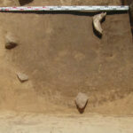 Pozostałości osady wczesno neolitycznej sprzed 6 tysięcy lat odkryto podczas wykopalisk w Złotej w gminie Samborzec. Piwniczka kultury malickiej / Radio Kielce