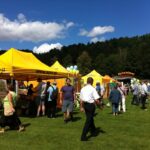 Dożynki Pszczelarzy w Bałtowie / Teresa Czajkowska / Radio Kielce