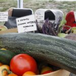 Dożynki powiatowe w Morawicy 25 sierpnia 2018 / Stanisław Blinstrub / Radio Kielce