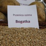 Dożynki powiatowe w Morawicy 25 sierpnia 2018 / Stanisław Blinstrub / Radio Kielce