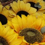 Dożynki powiatowe w Morawicy 25 sierpnia 2018 / Stanisław Blinstrub / Radio Kielce