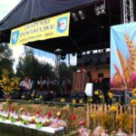 Dożynki Powiatu Jędrzejowskiego w Wodzisławiu / Ewa Pociejowska-Gawęda / Radio Kielce