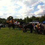 Dożynki Powiatu Jędrzejowskiego w Wodzisławiu / Ewa Pociejowska-Gawęda / Radio Kielce