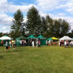 Dożynki Powiatu Jędrzejowskiego w Wodzisławiu / Ewa Pociejowska-Gawęda / Radio Kielce