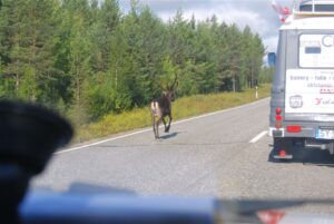 Dwaj mieszkańcy naszego regionu, którzy wystartowali w siódmej edycji rajdu samochodowego "Złombol", wrócili już do Kielc. / Fot. Michał Pękala / Maciej Chwedziak