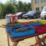 Radio Kielce z wizytą w Jaskini Zbójeckiej w Łagowie oraz w Taborze Kieleckim w Sędku / Konrad Łużniak / Radio Kielce