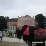 Wakacyjny program "Świętokrzyskie na fali. Przybij piątkę z Radiem Kielce" dotarł do Kurozwęk / Konrad Łużniak / Radio Kielce