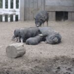 Wakacyjny program "Świętokrzyskie na fali. Przybij piątkę z Radiem Kielce" dotarł do Kurozwęk / Konrad Łużniak / Radio Kielce