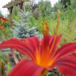 Świętokrzyskie na Fali. Przybij piątkę z Radiem Kielce w Pacanowie / Konrad Łużniak / Radio Kielce