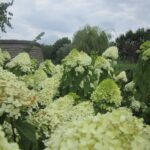 Świętokrzyskie na Fali. Przybij piątkę z Radiem Kielce w Pacanowie / Konrad Łużniak / Radio Kielce