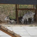 Świętokrzyskie na Fali. Przybij piątkę z Radiem Kielce w Pacanowie / Konrad Łużniak / Radio Kielce