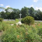 Radio Kielce w Pustelni Złotego Lasu w Rytwianach / Konrad Łużniak / Radio Kielce