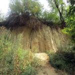 Radio Kielce w Sandomierzu / Konrad Łużniak / Radio Kielce