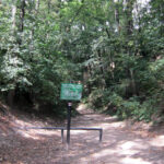 Radio Kielce w Sandomierzu / Konrad Łużniak / Radio Kielce