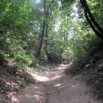 Radio Kielce w Sandomierzu / Konrad Łużniak / Radio Kielce