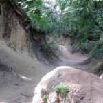 Radio Kielce w Sandomierzu / Konrad Łużniak / Radio Kielce