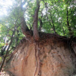 Radio Kielce w Sandomierzu / Konrad Łużniak / Radio Kielce