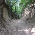 Radio Kielce w Sandomierzu / Konrad Łużniak / Radio Kielce