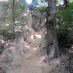 Radio Kielce w Sandomierzu / Konrad Łużniak / Radio Kielce